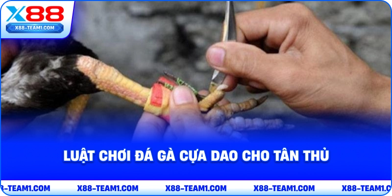 luat-choi-da-ga-cua-dao-cho-tan-thu