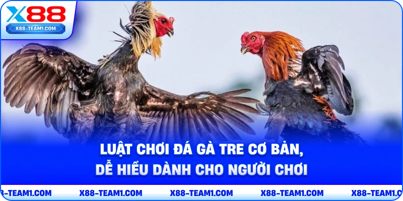 luat-choi-da-ga-tre-co-ban-de-hieu-danh-cho-nguoi-choi